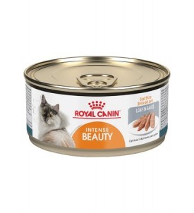 Alimento para gatos Royal Canin