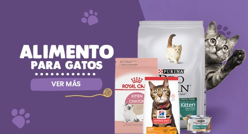 banner-home-gato.png